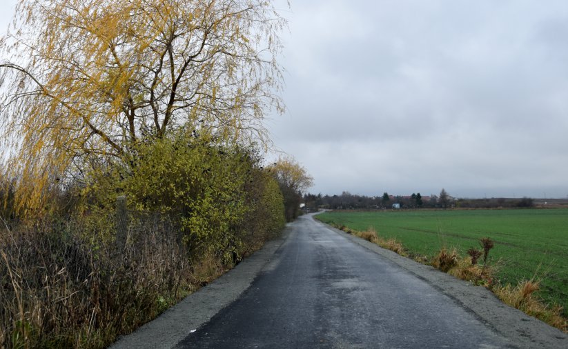 Droga asfaltowa, po prawej zielone pole, po lewej drzewo