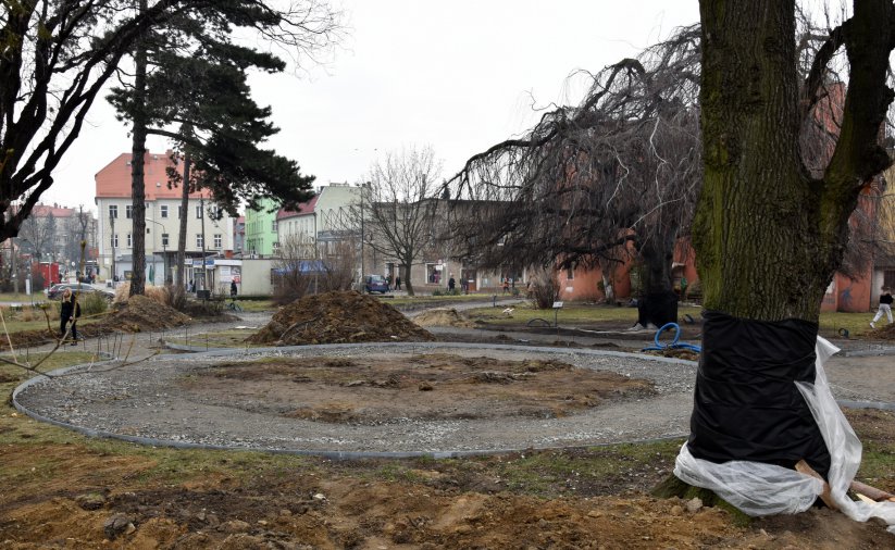 Widok na park i zabezpieczone przed zniszczeniem drzewa