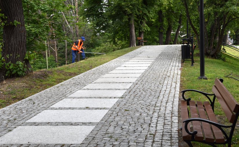 Głowna aleja parkowa