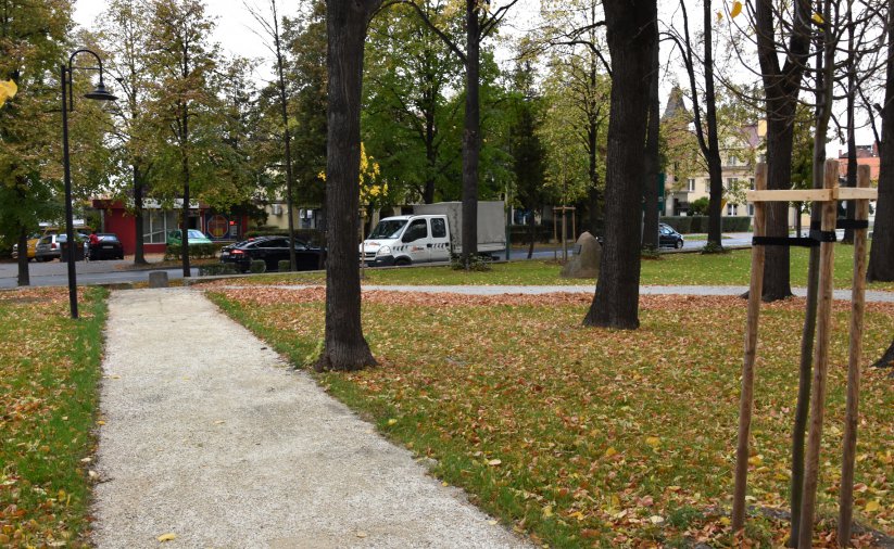 Nowa alejka parkowa, po prawej stronie drzewa