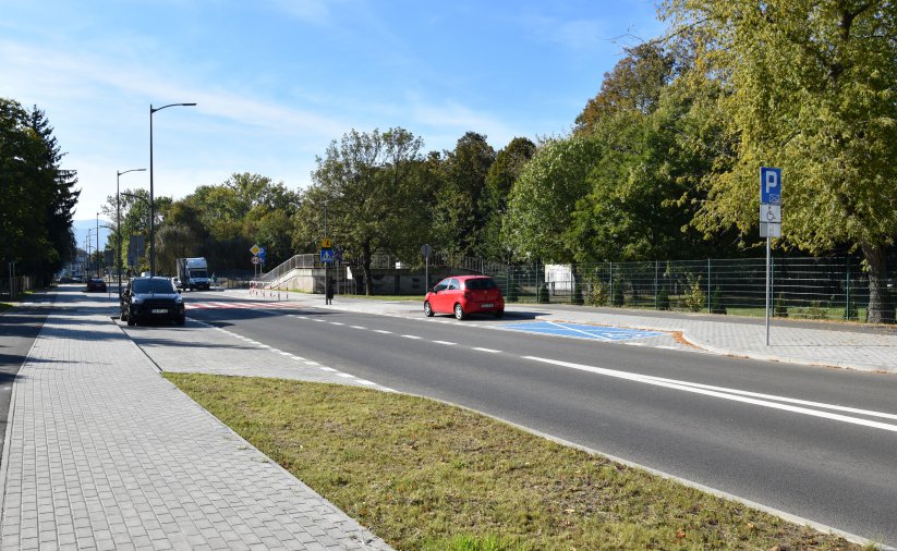 Pas zieleni przy drodze osiedlowej, po drugiej stronie park miejski