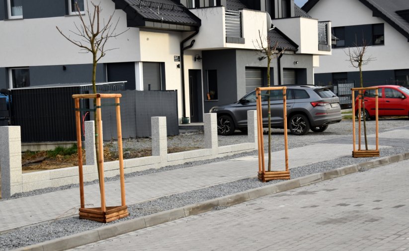 Domki jednorodzinne, przed nimi zaparkowane samochody