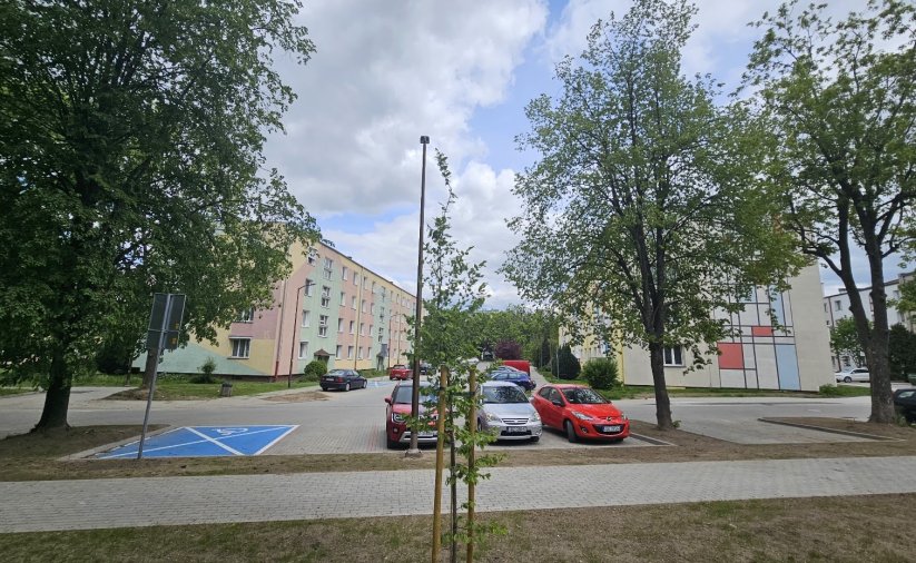 Chodnik i droga wewnątrzosiedlowa, po bokach zdrzewa, w tle bloki
