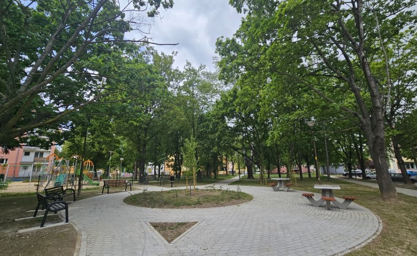 Alejki w parku tworzące koło, duże drzewa