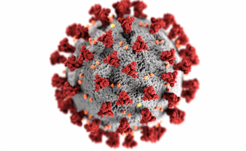 Wirus COVID 19 w zbliżeniu