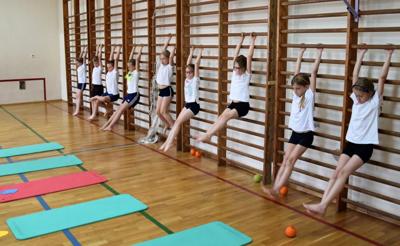 Sala ginastyczna, dzieci ćwiczące na drabinkach