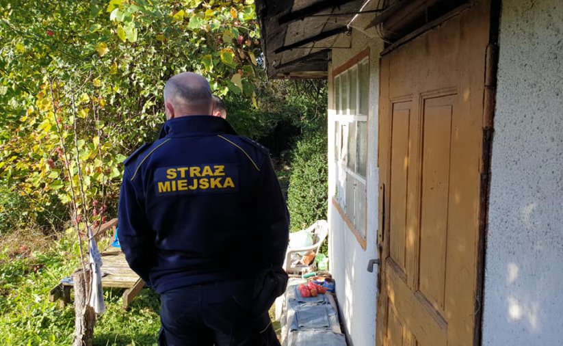Na zdjęciu strażnik miejski kontroluje ogródki działkowe