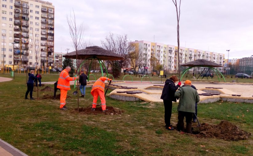 Kilka osób sadzących drzewka, w tle wieżowiec 