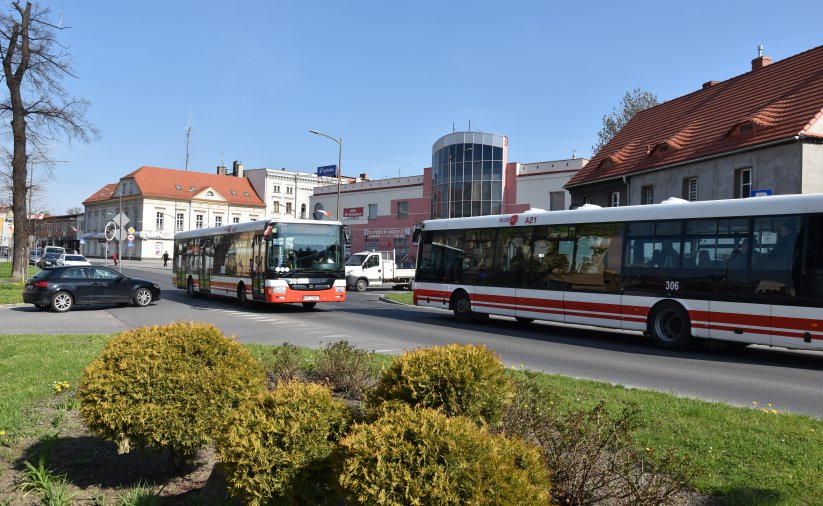 Droga i jadący nią autobus, na pierwszym planie zieleń