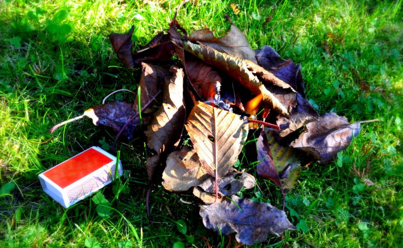 Suche liście leżące na trawie, obok czerwone pudeł zapałek 