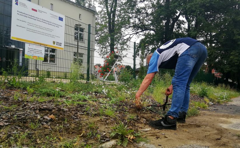 Mężczyzna pracujący przy zielonym trawniku