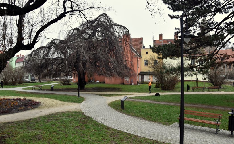 Park wczesną wiosną, zielona trawa, alejki i drzewa bez liści