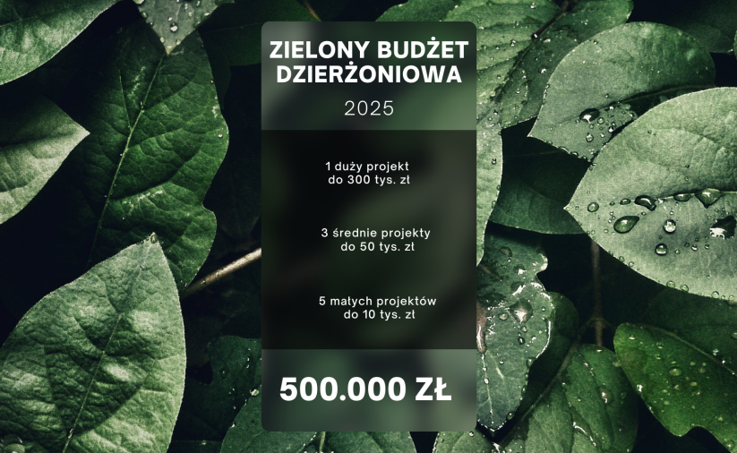 Grafika z zielonymi liśćmi z napisami Zielony Budżet Dzierżoniowa 2025 i kwota na niego przeznaczoną 500 tys. zł