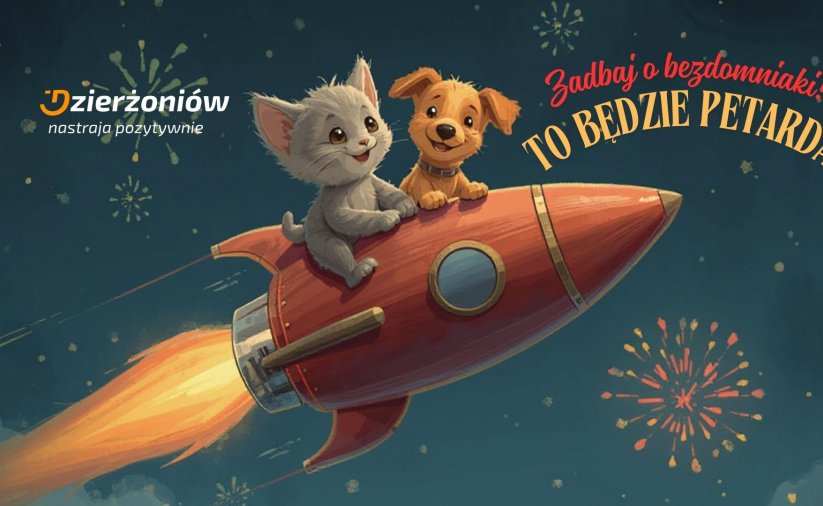 pies i kot na rakiecie i napis zadbaj o bezdomniaki to będzie petarda i logo Dzierżoniowa