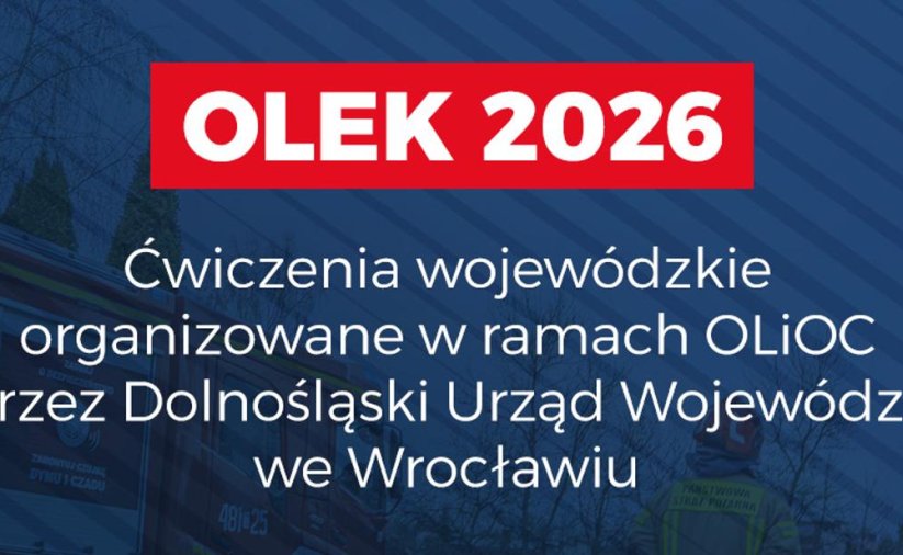 Grafika ozdobna z napisem Olek 2026