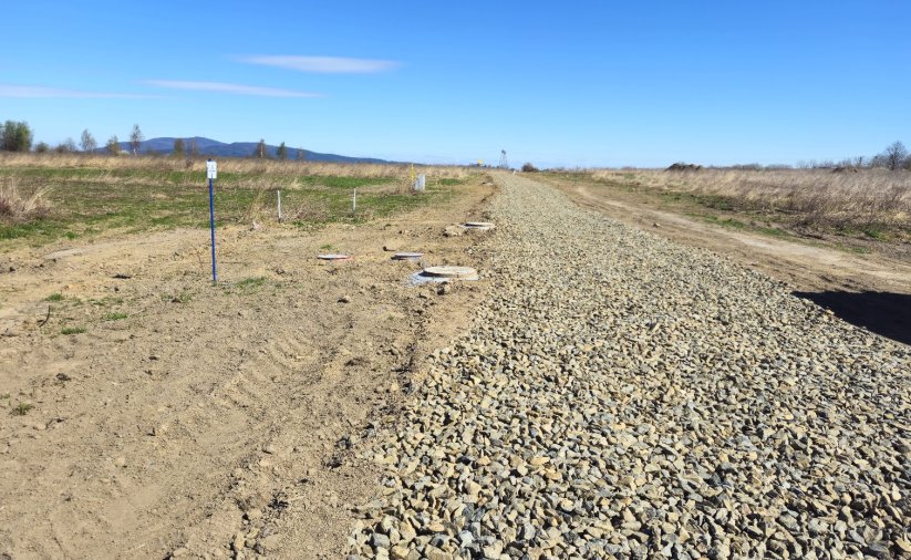 Droga usypana kamieniami, po bokazch zieleń
