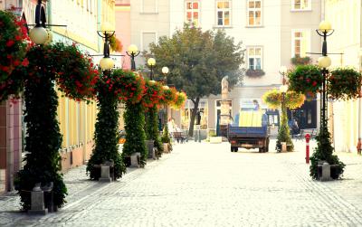 Ulica Świdnicka z zielenią oplatającą uliczne lampy
