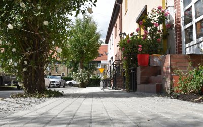 Chodnik przy wejśćiu do bdynku, pe lewej drzewa, po prawej dużo zieleni i kwiatów