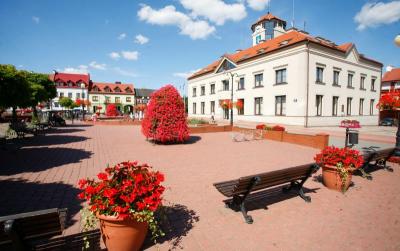 Widok na rynek i budynek ratusza, na pierwszym planie donice z kwiatami 