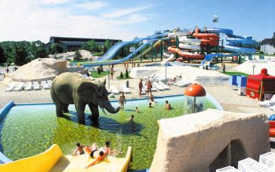 Wodny plac zabaw dla dzieci ze stojącym po środku sztucznym słoniem
