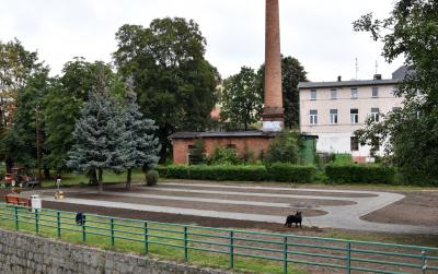 Widok owocowego sweru od ul. Kopernika
