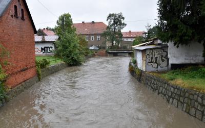 Koryto rzeki piławy z wysokim poziomem wody