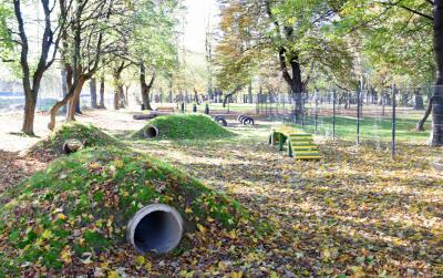 Tunel podziemny dla psów