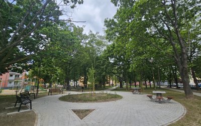 Alejki w parku tworzące koło, duże drzewa